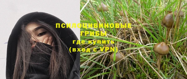 экстази Тавда