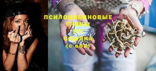 марки lsd Белокуриха