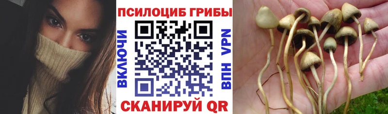 мега зеркало  Куса  Галлюциногенные грибы MAGIC MUSHROOMS 